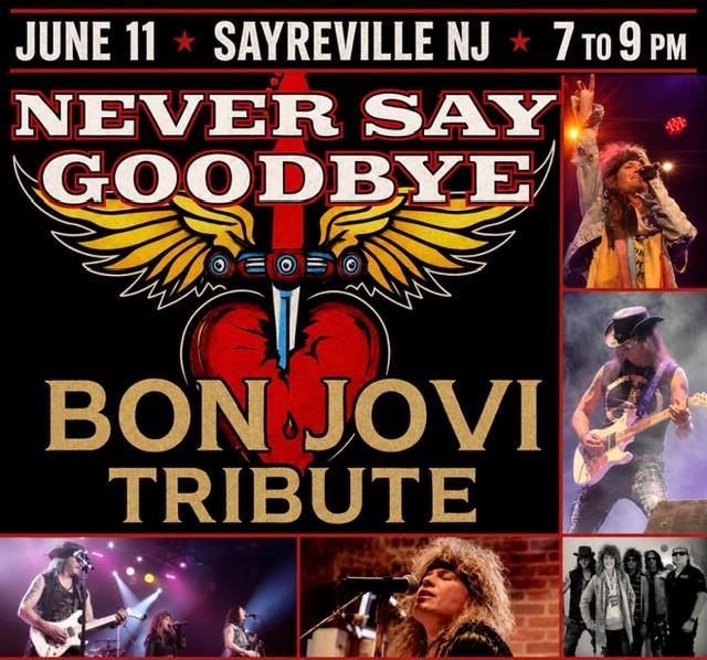 bon jovi night